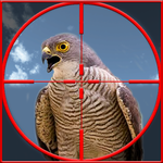 Taloor Hunting APK