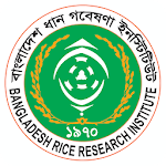 Rice Knowledge Bank APK