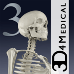 Essential Skeleton 3 APK Essential Skeleton 3 APK