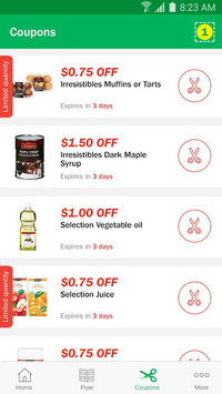Food Basics for PC screenshot 2
