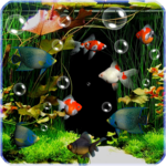 Aquarium Live Wallpaper Free APK Aquarium Live Wallpaper Free APK