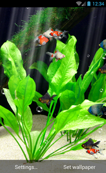 Aquarium Live Wallpaper Free for PC screenshot 3