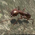 Ant Simulation 3D - Insect Survival Game for PC