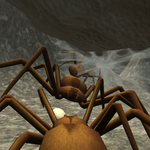 Spider Nest Simulator - insect and 3d animal game APK