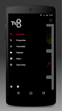 TV8 for PC screenshot 2