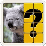 Guess The Picture APK