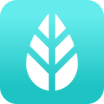MoreApp Forms APK