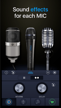 Pro Microphone for PC screenshot 2