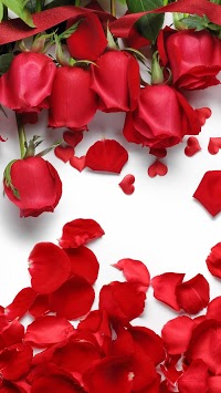 Rose Wallpaper, Floral, Flower Background: Rosely for PC screenshot 2