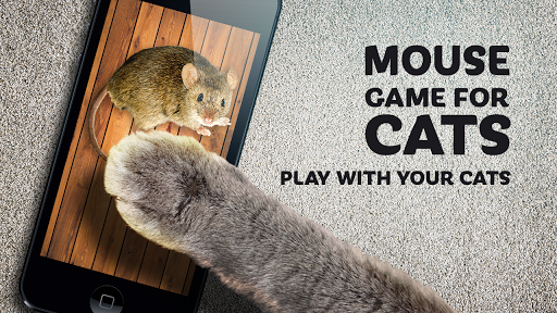 Mouse game toy for cats for PC screenshot 1