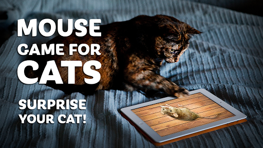 Mouse game toy for cats for PC screenshot 2