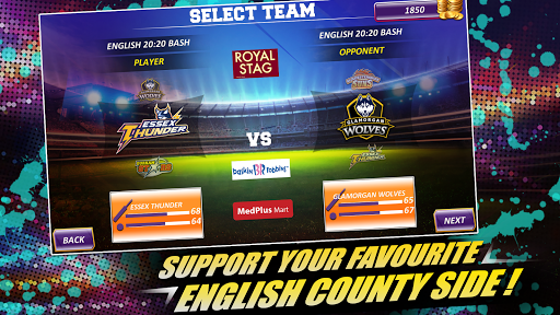 Real Cricket™ 16: English Bash for PC screenshot 3