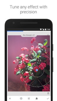Snapseed for PC screenshot 3