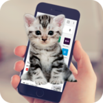 Cat Walks In Phone Funny Joke - Cute Joke APK