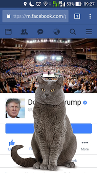 Cat Walks In Phone Funny Joke - Cute Joke for PC screenshot 1