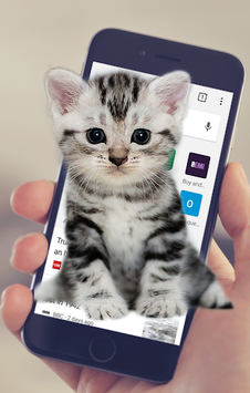 Cat Walks In Phone Funny Joke - Cute Joke for PC screenshot 2