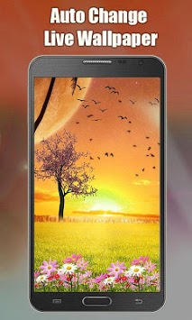 Auto Change Live Wallpaper for PC screenshot 2