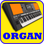 Electronic Organ APK