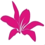 Dago Browser (Web Inspector) APK Dago Browser (Web Inspector) APK