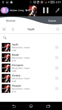 Panasonic Music Streaming for PC screenshot 3