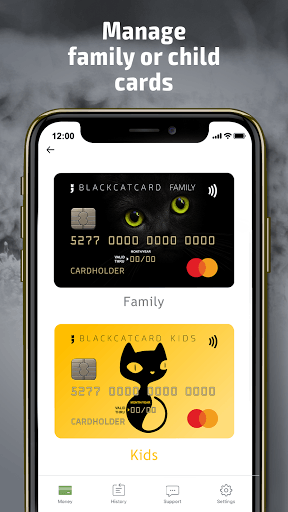 Blackcatcard: safe, secure wallet & prepaid card for PC screenshot 3