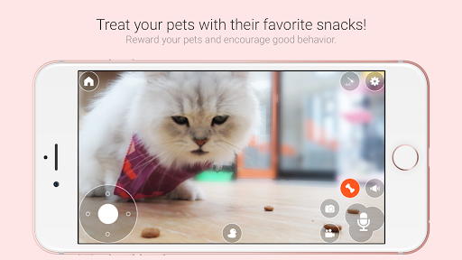 Pawbo Life for PC screenshot 3