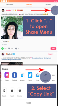 Sing Downloader for Starmaker for PC screenshot 2