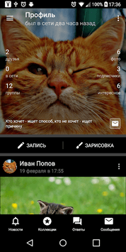 Polyglot for VK for PC screenshot 1