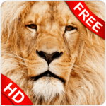 Animal Sounds APK