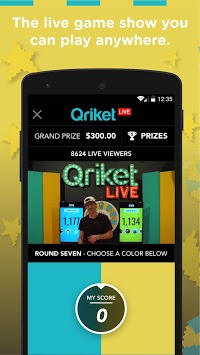 Qriket for PC screenshot 1