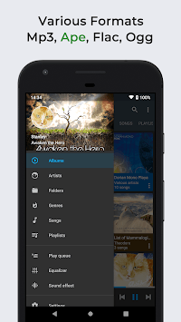 Omnia Music Player - MP3 Player, APE Player (Beta) for PC screenshot 2