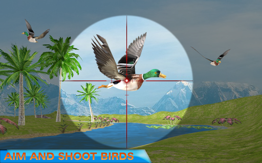 Birds Hunter Valley for PC screenshot 3