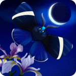 Flutter: Starlight APK Flutter: Starlight APK