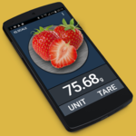 IQ Digital scale simulator APK