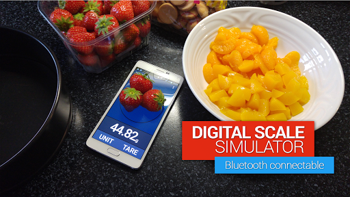 IQ Digital scale simulator for PC screenshot 2