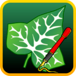 Ivy Draw: Vector Drawing APK