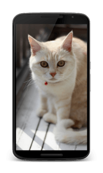 Animal Sounds for PC screenshot 1
