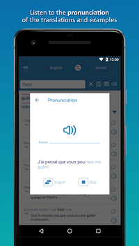 Reverso Translation Dictionary for PC screenshot 3