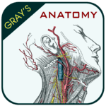 Gray's Anatomy - Atlas for PC Gray's Anatomy - Atlas for PC