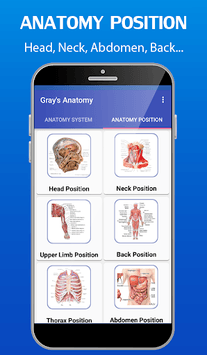Gray's Anatomy - Atlas for PC screenshot 2