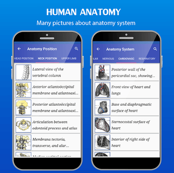 Gray's Anatomy - Atlas for PC screenshot 3
