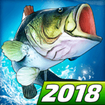 Fishing Clash: Catching Fish Game. Bass Hunting 3D APK
