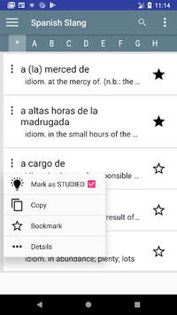 Spanish slang dictionary for PC screenshot 1