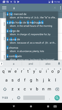 Spanish slang dictionary for PC screenshot 3