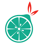 TOTERS Partner APK