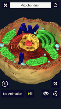 3D Biology + for PC screenshot 1