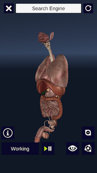 3D Biology + for PC screenshot 2