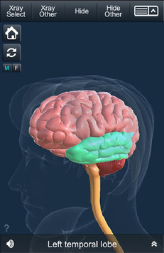 My Brain Anatomy for PC screenshot 2