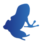 Vuze Torrent Downloader APK