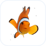Clown Fish Animated Keyboard + Live Wallpaper APK Clown Fish Animated Keyboard + Live Wallpaper APK
